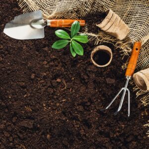 5 Great Uses for Wood Ash - York County ME - Frechette Chimney soil